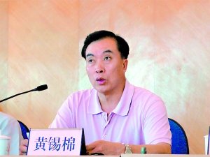 广东顺德伦教镇长黄锡棉（资料图片）