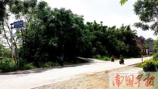 事发路段位于浦北县第五中学对面一个路口，平时过往车辆较多。见习记者 陆旺摄